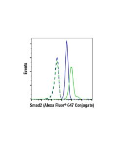 Cell Signaling Smad2 (D43b4) Xp® Rabbit mAb (Alexa Fluor® 647 Conjugate)