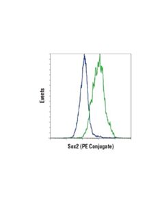 Cell Signaling Sox2 (D6d9) Xp Rabbit mAb (Pe Conjugate)
