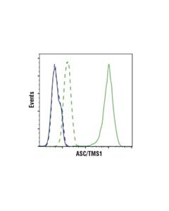 Cell Signaling Asc/Tms1 (D2w8u) Rabbit mAb (Mouse Specific)