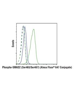Cell Signaling Phospho-Smad2 (Ser465/Ser467) (E8f3r) Rabbit mAb (Alexa Fluor 647 Conjugate)