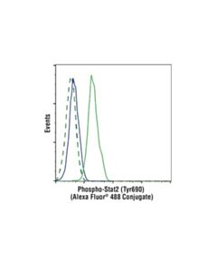 Cell Signaling Phospho-Stat2 (Tyr690) (D3p2p) Rabbit mAb (Alexa Fluor 488 Conjugate)