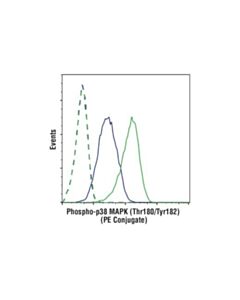 Cell Signaling Phospho-P38 Mapk (Thr180/Tyr182) (3d7) Rabbit mAb (PE Conjugate)