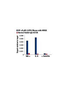 Cell Signaling Nf-Kappab P65 (L8f6) Mouse mAb