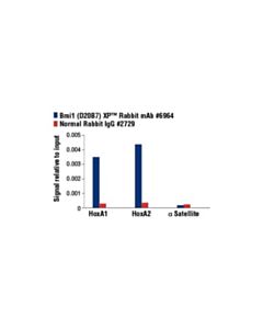 Cell Signaling Bmi1 (D20b7) Xp Rabbit mAb
