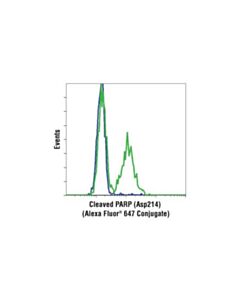 Cell Signaling Cleaved Parp (Asp214) (D64e10) Xp Rabbit mAb (Alexa Fluor 647 Conjugate)