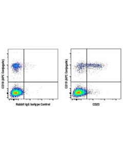 Cell Signaling Cd23 (E5p8z) Rabbit mAb