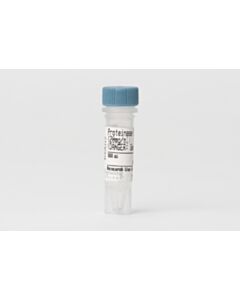 Cell Signaling Protease Inhibitor Cocktail (200x)
