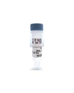 Cell Signaling Rnase A (10 Mg/Ml)