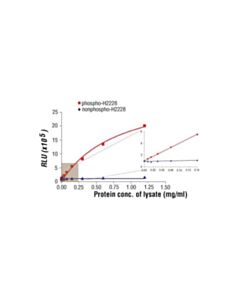 Cell Signaling Pathscan Phospho-Alk (Tyr1604) Chemiluminescent Sandwich Elisa Kit