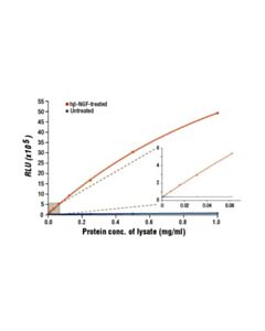 Cell Signaling Pathscan Phospho-Trka (Tyr490) Chemiluminescent Sandwich Elisa Kit