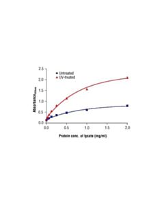 Cell Signaling Pathscan Phospho-Chk2 (Thr68) Sandwich Elisa Kit