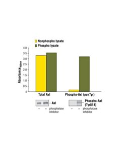Cell Signaling Pathscan Total Axl Sandwich Elisa Kit
