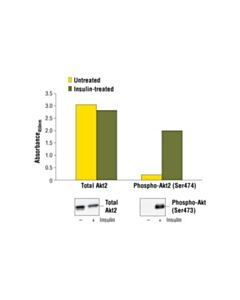 Cell Signaling Pathscan Total Akt2 Sandwich Elisa Kit