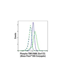 Cell Signaling Phospho-Tbk1/Nak (Ser172) (D52c2) Xp  Rabbit mAb (Alexa Fluor  555 Conjugate)