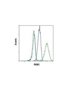 Cell Signaling Pkm1 (D30g6) Xp Rabbit mAb