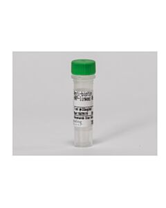 Cell Signaling Anti-Biotin, Hrp-Linked Antibody