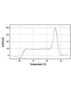 Cell Signaling Simplechip Human Leng8 5 Utr Primers