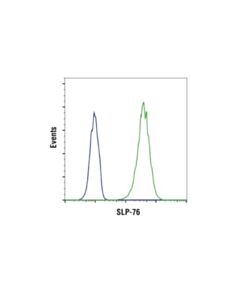 Cell Signaling Slp-76 (D1r1a) Rabbit mAb