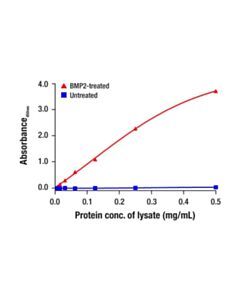 Cell Signaling Phospho-SMAD1 (Ser463/465) Matched Antibody Pair; 1 Kit