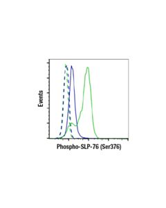 Cell Signaling Human Anti-Cd3/Cd28 T Cell Activation Kit