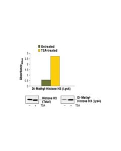 Cell Signaling Pathscan Di-Methyl-Histone H3 (Lys4) Sandwich Elisa Kit
