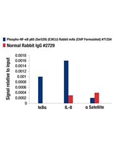 Cell Signaling Phospho-Nf-Kappab P65 (Ser529) (E3k3j) Rabbit mAb (Chip Formulated)