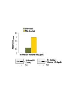 Cell Signaling Pathscan Tri-Methyl-Histone H3 (Lys4) Sandwich Elisa Kit
