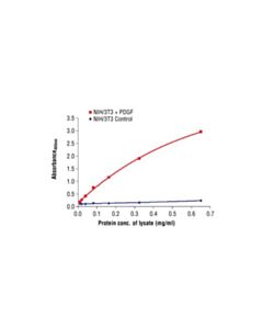 Cell Signaling Pathscan Phospho-Akt (Thr308) Sandwich Elisa Antibody Pair