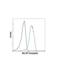Cell Signaling Btk (D6t2c) Mouse mAb (PE Conjugate)