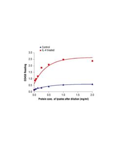 Cell Signaling Pathscan® Phospho-Cdc2 (Tyr15) Sandwich Elisa Kit