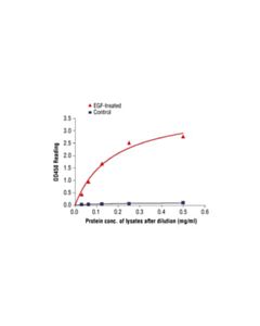 Cell Signaling Pathscan Phospho-Egf Receptor (Tyr1173) Sandwich Elisa Kit