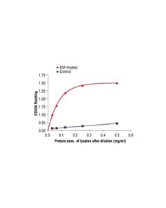 Cell Signaling Pathscan Phospho-Egf Receptor (Tyr845) Sandwich Elisa Kit