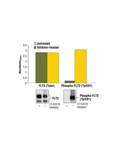 Cell Signaling Pathscan Total Flt3 Sandwich Elisa Kit