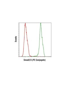 Cell Signaling Smad2/3 (D7g7) Xp Rabbit mAb (Pe Conjugate)