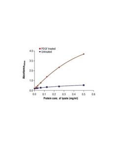 Cell Signaling Pathscan Phospho-P44/42 Mapk (Thr202/Tyr204) Sandwich ELISA Antibody Pair