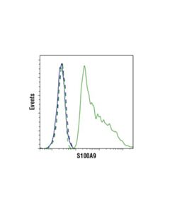 Cell Signaling S100a9 (D5o6o) Rabbit mAb
