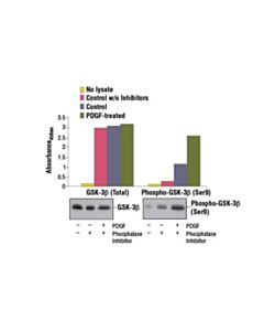 Cell Signaling Pathscan Total Gsk-3beta Sandwich Elisa Kit