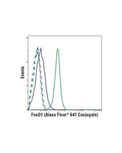 Cell Signaling Foxo1 (C29h4) Rabbit mAb (Alexa Fluor 647 Conjugate)