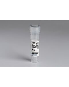 Cell Signaling Ptmscan Trypsin, Mass Spectrometry Grade