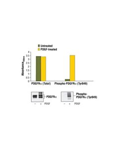 Cell Signaling Pathscan Phospho-Pdgf Receptor Alpha (Tyr849) Sandwich Elisa Kit