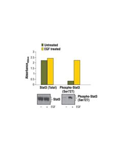 Cell Signaling Pthscn Totl Stt3 Sndwich Elisa Kit Apply) (Additional