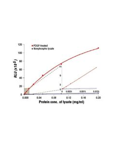 Cell Signaling Pathscan Phospho-S6 Ribosomal Protein (Ser235/236) Chemiluminescent Sandwich Elisa Kit