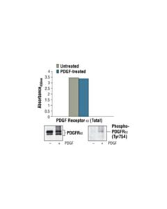 Cell Signaling Pathscan® Total Pdgf Receptor Alpha Sandwich Elisa Kit