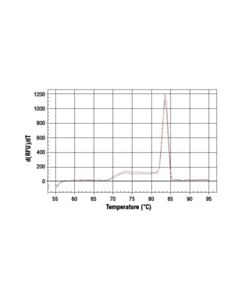 Cell Signaling Simplechip Mouse Hoxa1 Promoter Primers