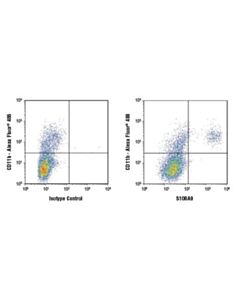 Cell Signaling S100a9 (D3u8m) Rabbit mAb (Rodent Specific)