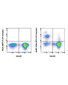Cell Signaling Ncam1 (Cd56) (My31) Mouse mAb (PE Conjugate)