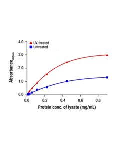 Cell Signaling Phospho-Glucocorticoid Receptor (Ser226) Matched Antibody Pair; 1 Kit