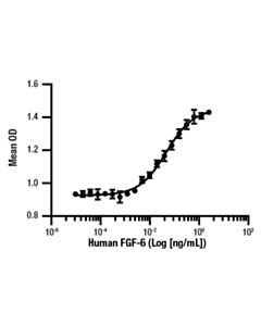 Cell Signaling Human Fgf-6 Recombinant Protein