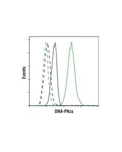 Cell Signaling Phosphoplus Dna-Pkcs (Ser2056) Antibody Duet