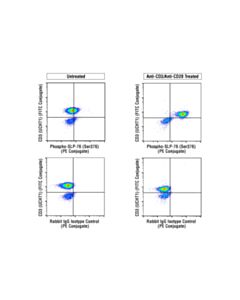 Cell Signaling Phospho-Slp-76 (Ser376) (E3g9u) Xp Rabbit mAb (PE Conjugate)